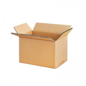 Outer Carton